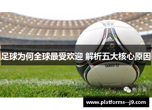 足球为何全球最受欢迎 解析五大核心原因