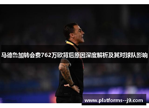 马德鲁加转会费762万欧背后原因深度解析及其对球队影响 马德鲁加转会费762万欧背后原因深度解析及其对球队影响
